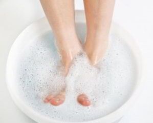 Champignons du traitement des champignons de la flotte